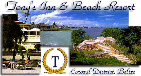 Tony's Inn and Beach Resort in Belize's Corozal Town: A Spanish style resort featuring 24 deluxe guest rooms